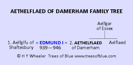 Aethelflaed of Damerham Family Tree